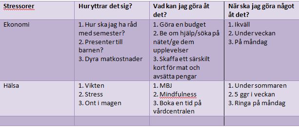 vad är en stressor vad är en stressor